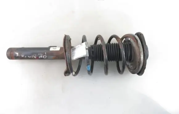 Peugeot 206 Front shock absorber with coil spring
