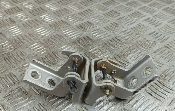 DS Automobiles 7 Crossback Rear door hinge set 