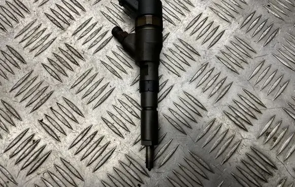 Peugeot 206 Fuel injector 9641742880