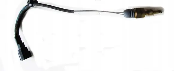 Ford Ecosport Exhaust gas temperature sensor