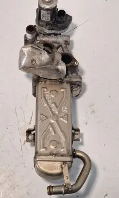 Volkswagen Tiguan EGR valve 0280751016 15040731203 11725508