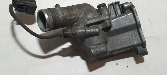 Thermostat/thermostat housing