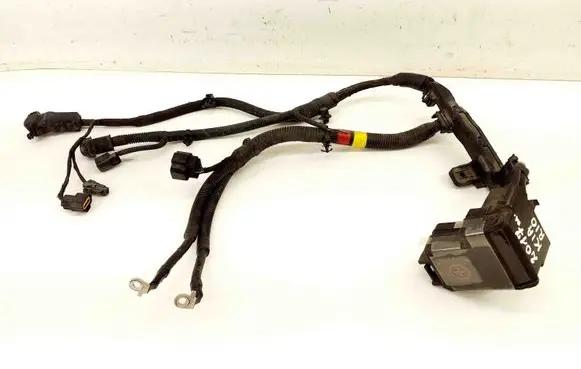 KIA Rio Positive wiring loom 91970H8200 91850H8110