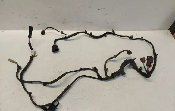Audi A8 S8 D5 Other wiring loom 4N2971111G