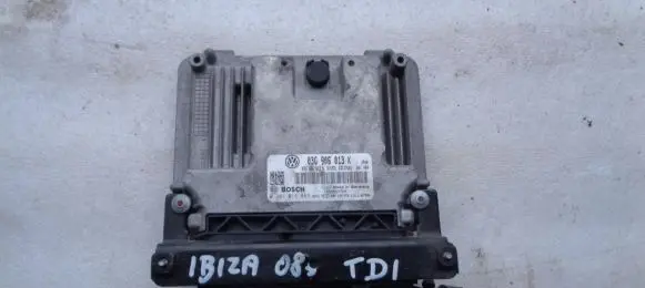 Seat Ibiza IV (6J,6P) Engine control unit/module 03G906013K