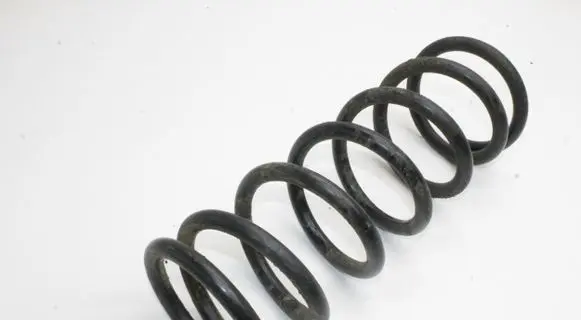 Nissan Pathfinder R51 Rear coil spring