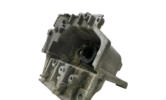 Nissan Juke I F15 Engine mounting bracket 038122