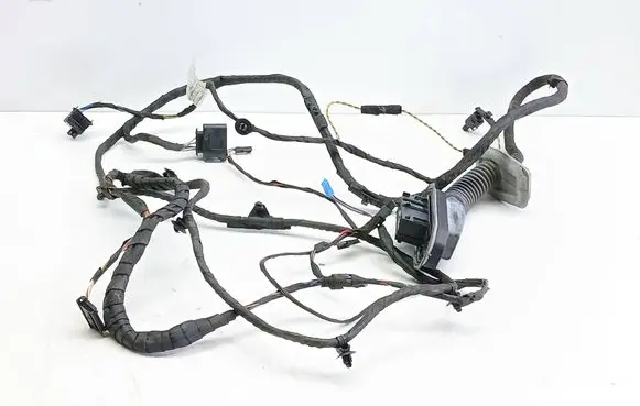 BMW 5 F10 F11 Front door wiring loom 9256002 4100170