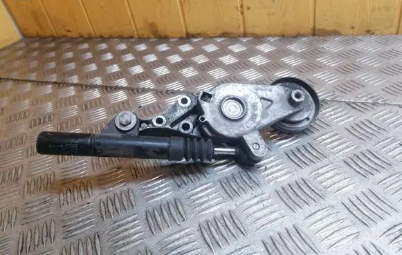 Volkswagen Bora Alternator belt tensioner 04343010002