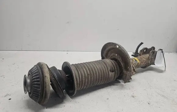 Opel Astra H Front shock absorber/damper 1234