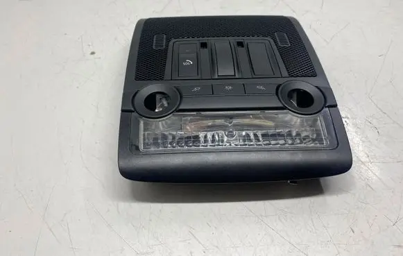 BMW X5 E70 Front seat light 15956810