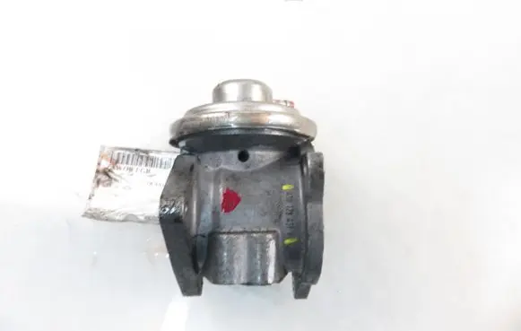 Skoda Octavia Mk2 (1Z) EGR valve 038129637D 038131501AN