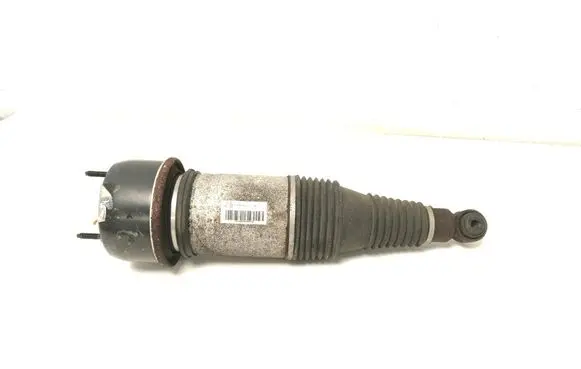 Rear shock absorber/damper