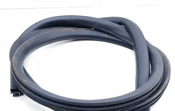 Ford Mustang Mach-E Rear door rubber seal (on body) LJ8BR253A10