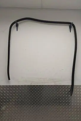 Toyota Urban Cruiser (XP110) Rear door rubber seal (on body) 