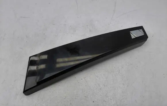 Citroen DS4 Front door glass trim molding 9687376177
