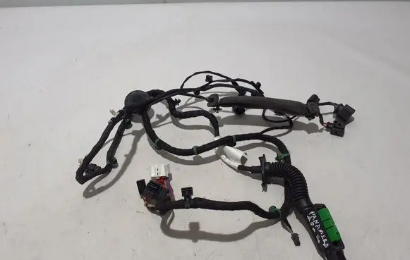 Porsche Panamera (971) Other wiring loom 971971122B