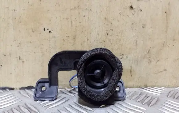 Front door high frequency speaker