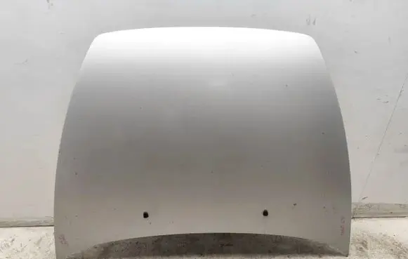 Engine bonnet/hood