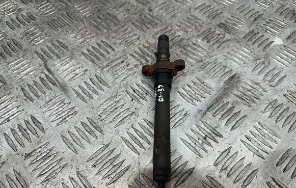 Citroen C5 Fuel injector 9688438580