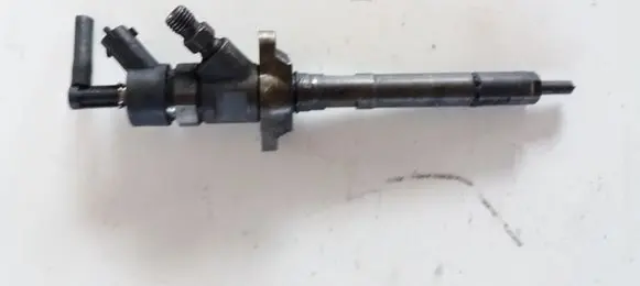 Citroen Berlingo Fuel injector 0445110239