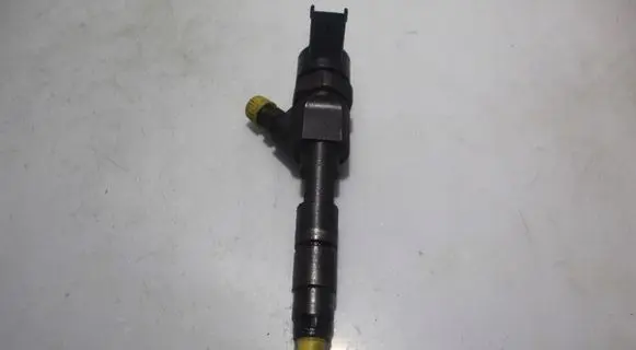 Renault Scenic II - Grand scenic II Fuel injector 0445110110