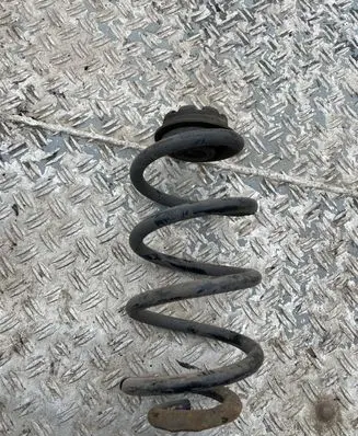 Nissan Qashqai Rear coil spring