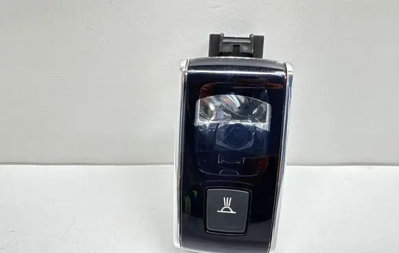 Peugeot 508 Rear seat light 8956450