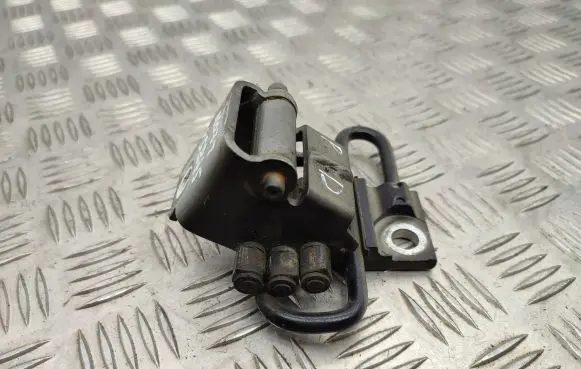 Seat Leon (1P) Front door lower hinge 1P0831412