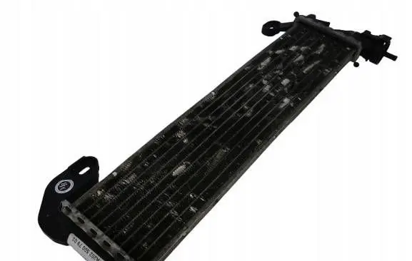 Mercedes-Benz C AMG W202 Fuel cooler (radiator) A2025007903