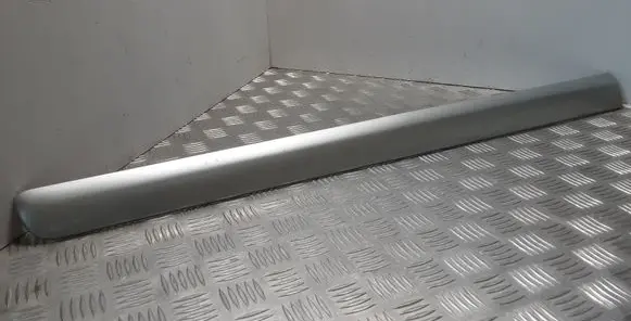Front door trim (molding)