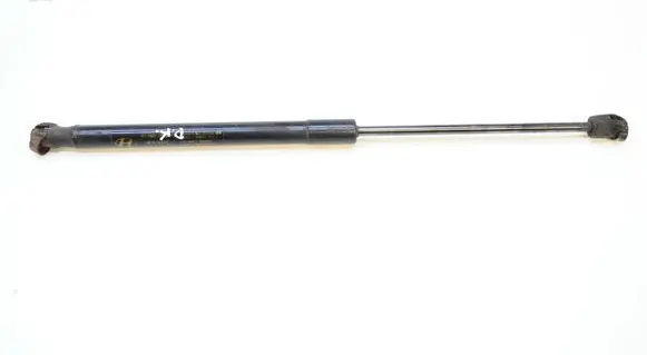 Hyundai Santa Fe Front bonnet/hood damper/strut 811602B010