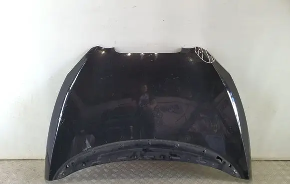 Engine bonnet/hood