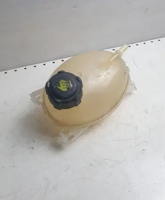 Renault Captur Coolant expansion tank/reservoir 817107255R