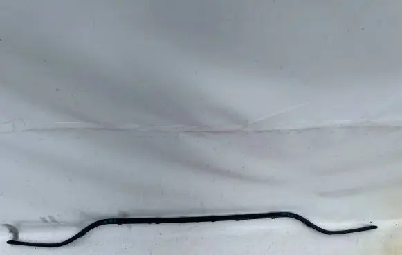 Rear bumper trim bar molding