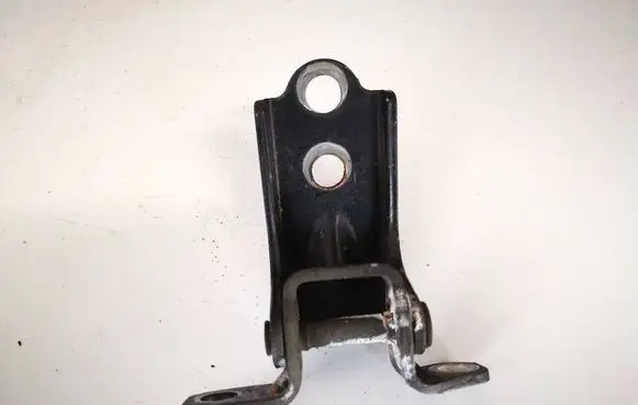 Rear door lower hinge