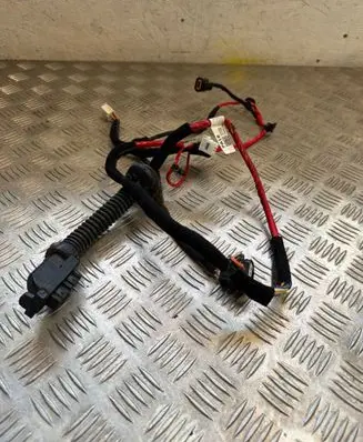 Hyundai Ioniq 5 Rear door wiring loom 91620 GI180