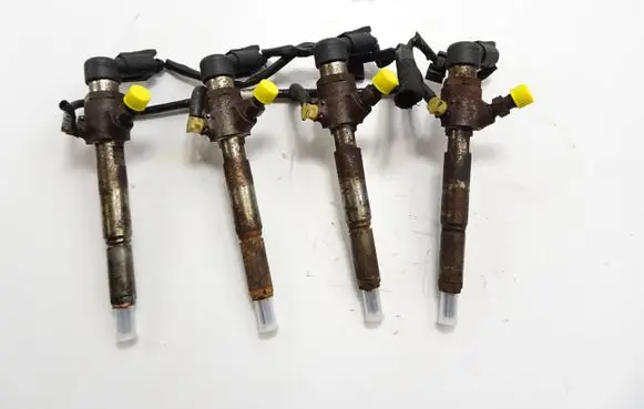 Nissan Qashqai Fuel injector H8200294788 166009445R