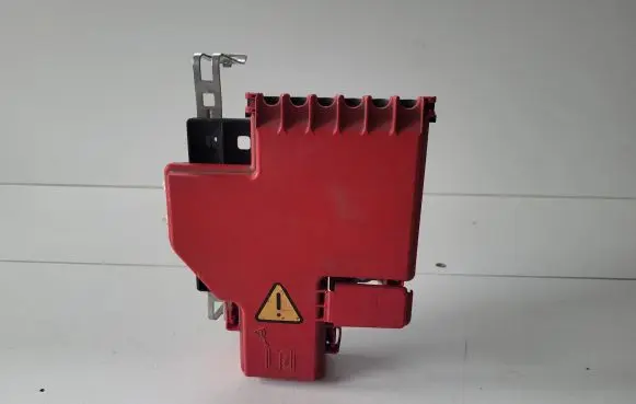Renault Zoe Positive wiring loom 243458839R