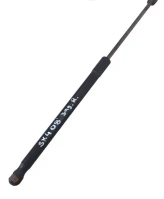 Tailgate/trunk strut/damper