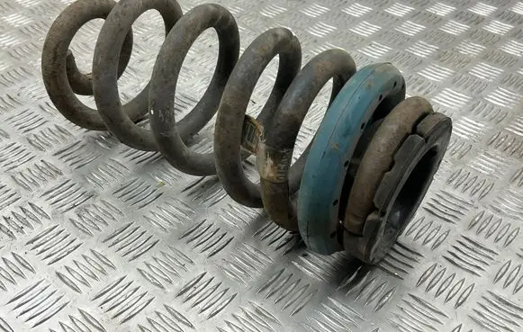 Rear coil spring