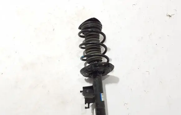 Renault Scenic E-Tech V Front shock absorber/damper 543031193R