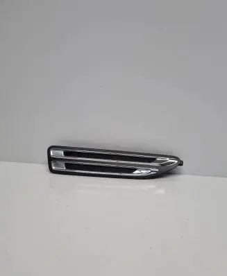 Fender trim (molding)