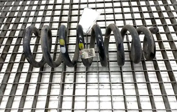 KIA EV6 Rear coil spring 55330GIAD0