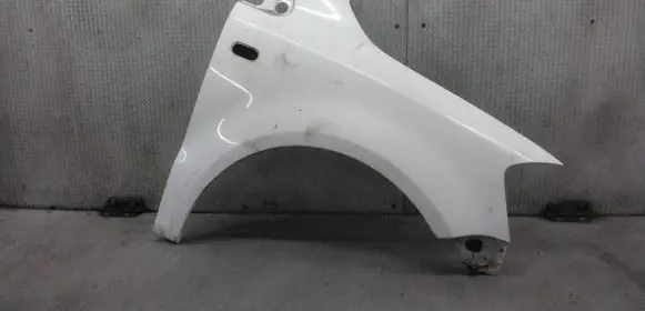 Volkswagen Fox Fender