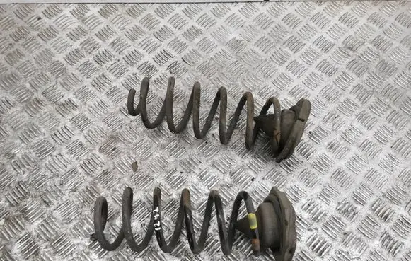 Nissan Qashqai Rear coil spring