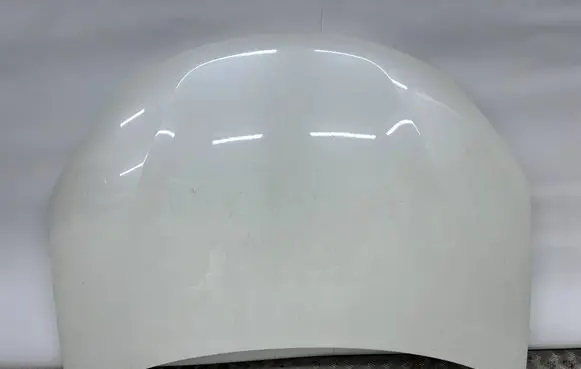 Engine bonnet/hood