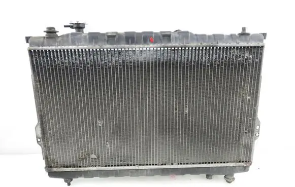 Hyundai Santa Fe Coolant radiator 