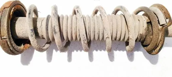 Rear coil spring