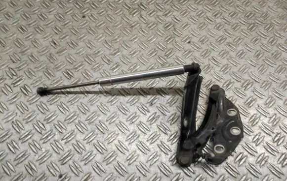 Volkswagen Phaeton Engine bonnet/hood hinges 3D0823301D
